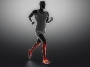 Orthotics